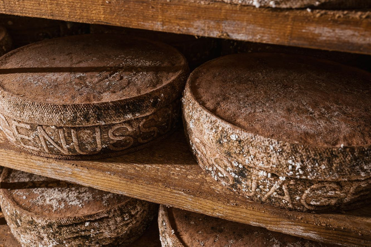 Genussbunker Buffalo Bunker forma intera 2,5 kg - squisitoo