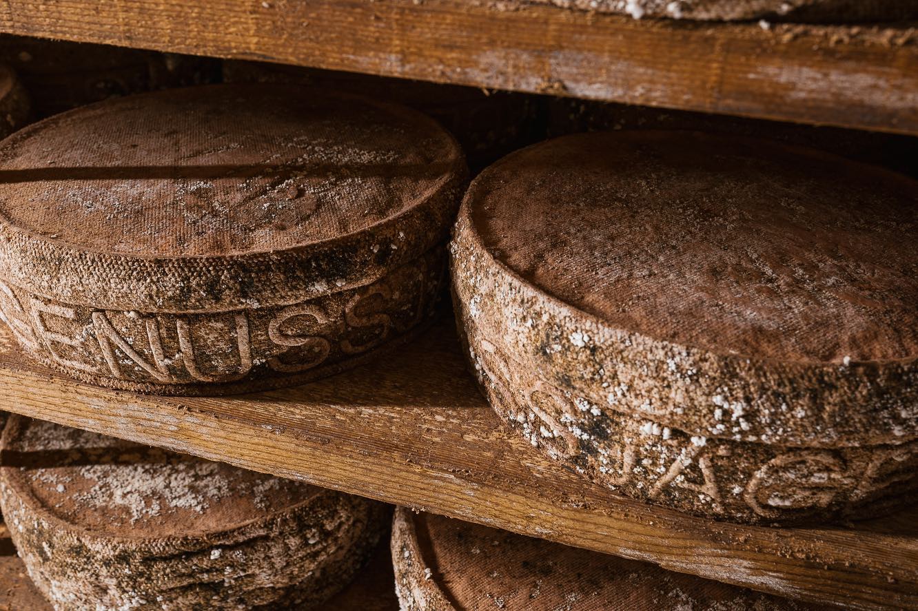 Genussbunker Buffalo Bunker forma intera 2,5 kg - squisitoo