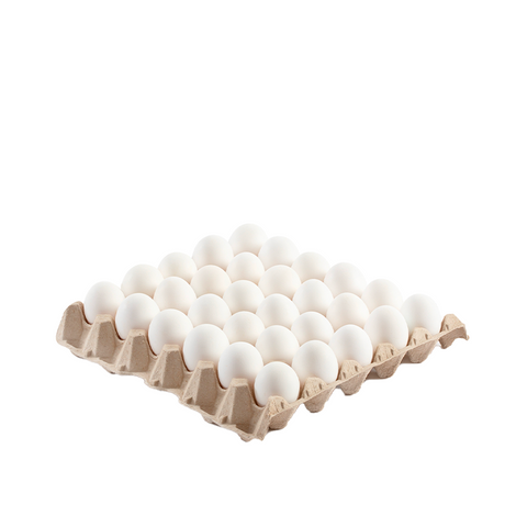 The Garda Egg 60 Organic White Livorno Eggs