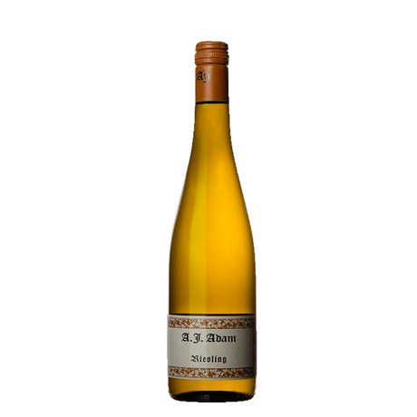 AJ Adam Dhroner Riesling Trocken 2021