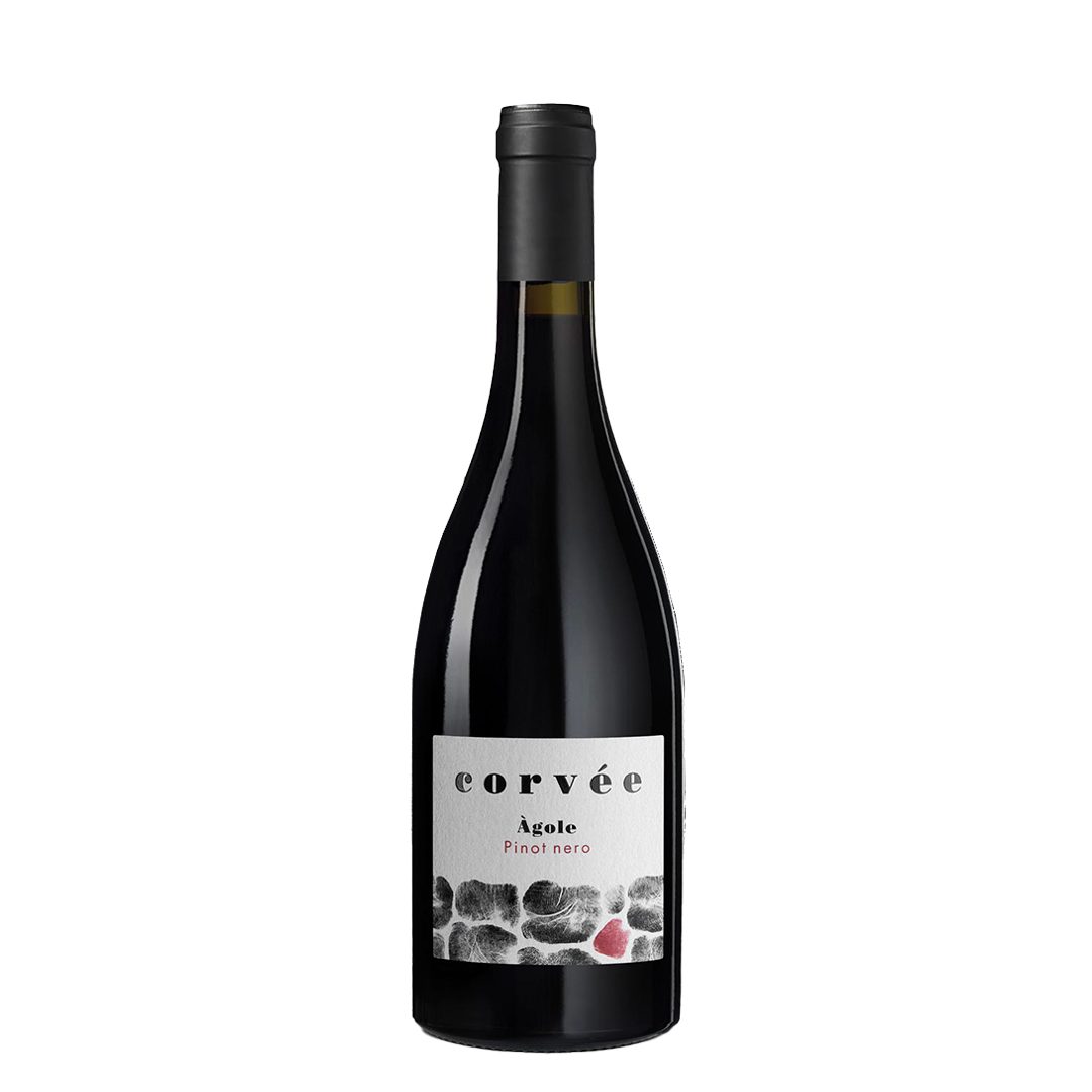 Corvée Agole Pinot nero Cembra Trentino superiore DOC 2019 - squisitoo