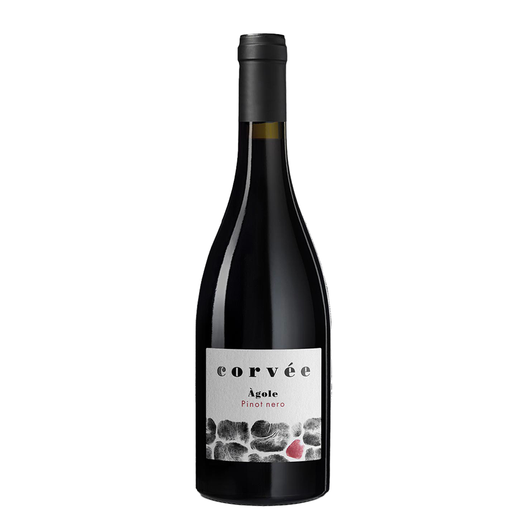 Corvée Agole Pinot nero Cembra Trentino superiore DOC 2019 Magnum 1.5 L - squisitoo