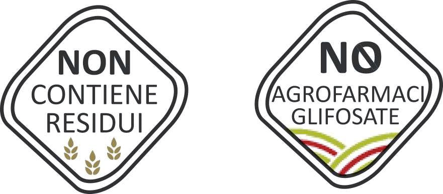 Caccese Mezzi paccheri rigati Pasta 500 g - squisitoo