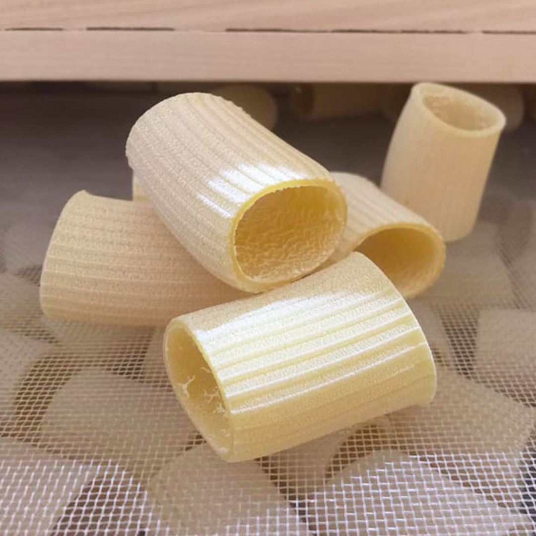 Caccese Mezzi paccheri rigati Pasta 500 g - squisitoo