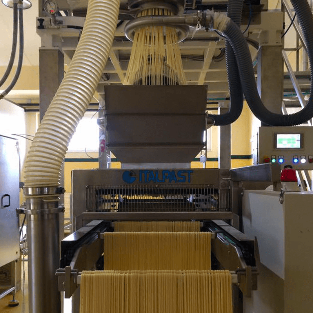 Caccese Paccheri rigati Pasta 500 g - squisitoo