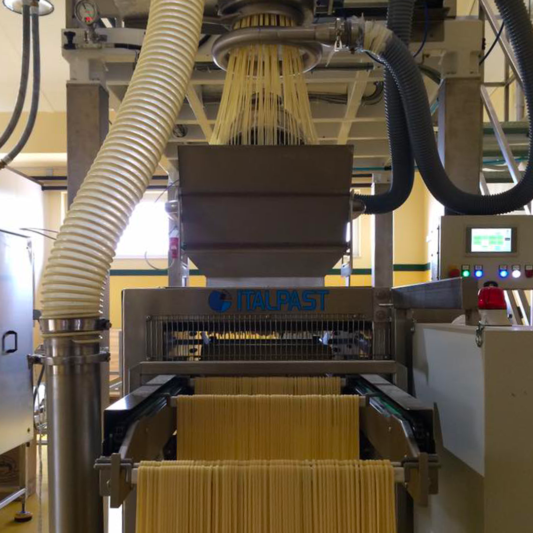 Caccese Paccheri Pasta 500 g - squisitoo