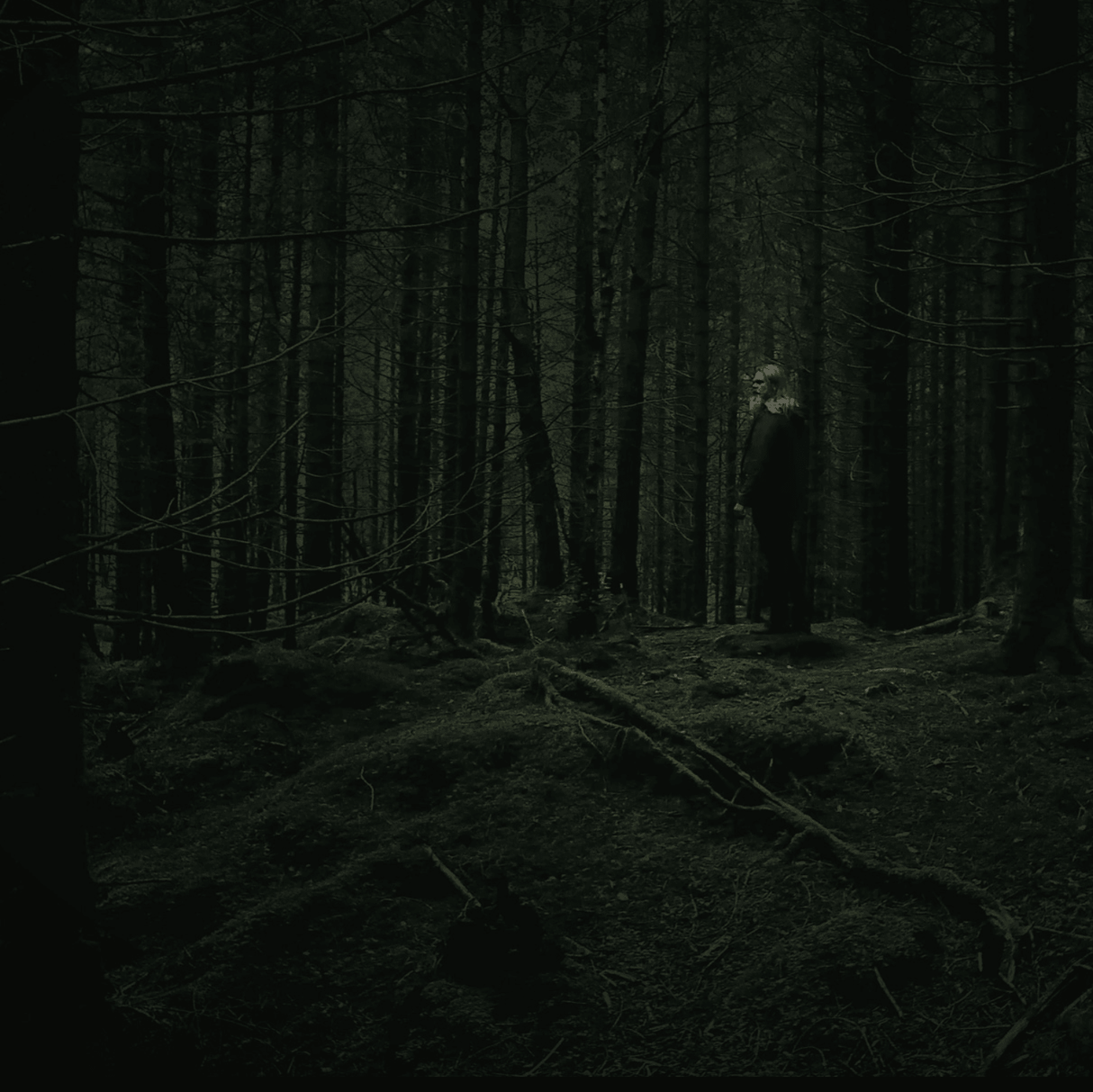 Bareksten Botanical Gin 70 cl - squisitoo