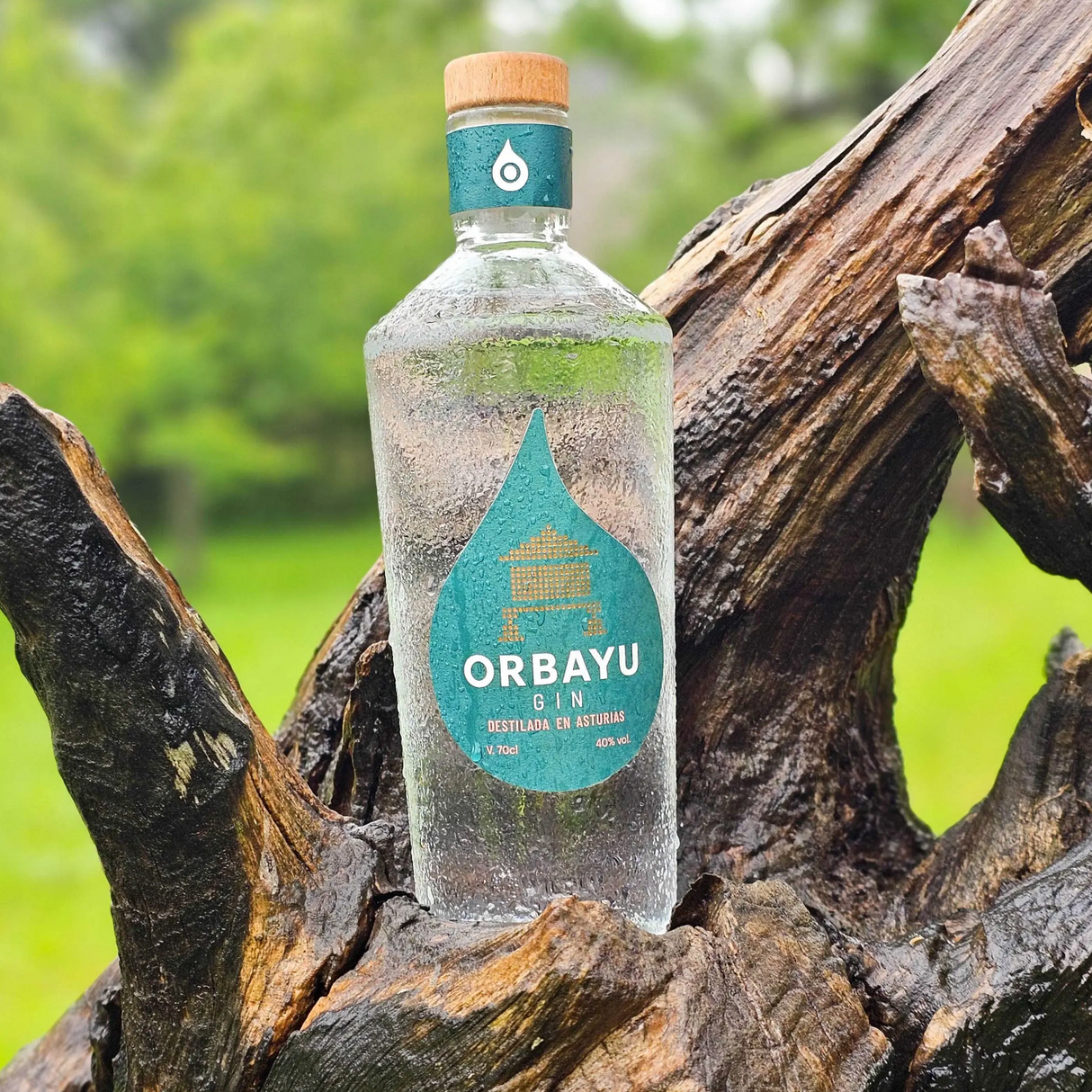 Gin Orbayu 70 cl - squisitoo