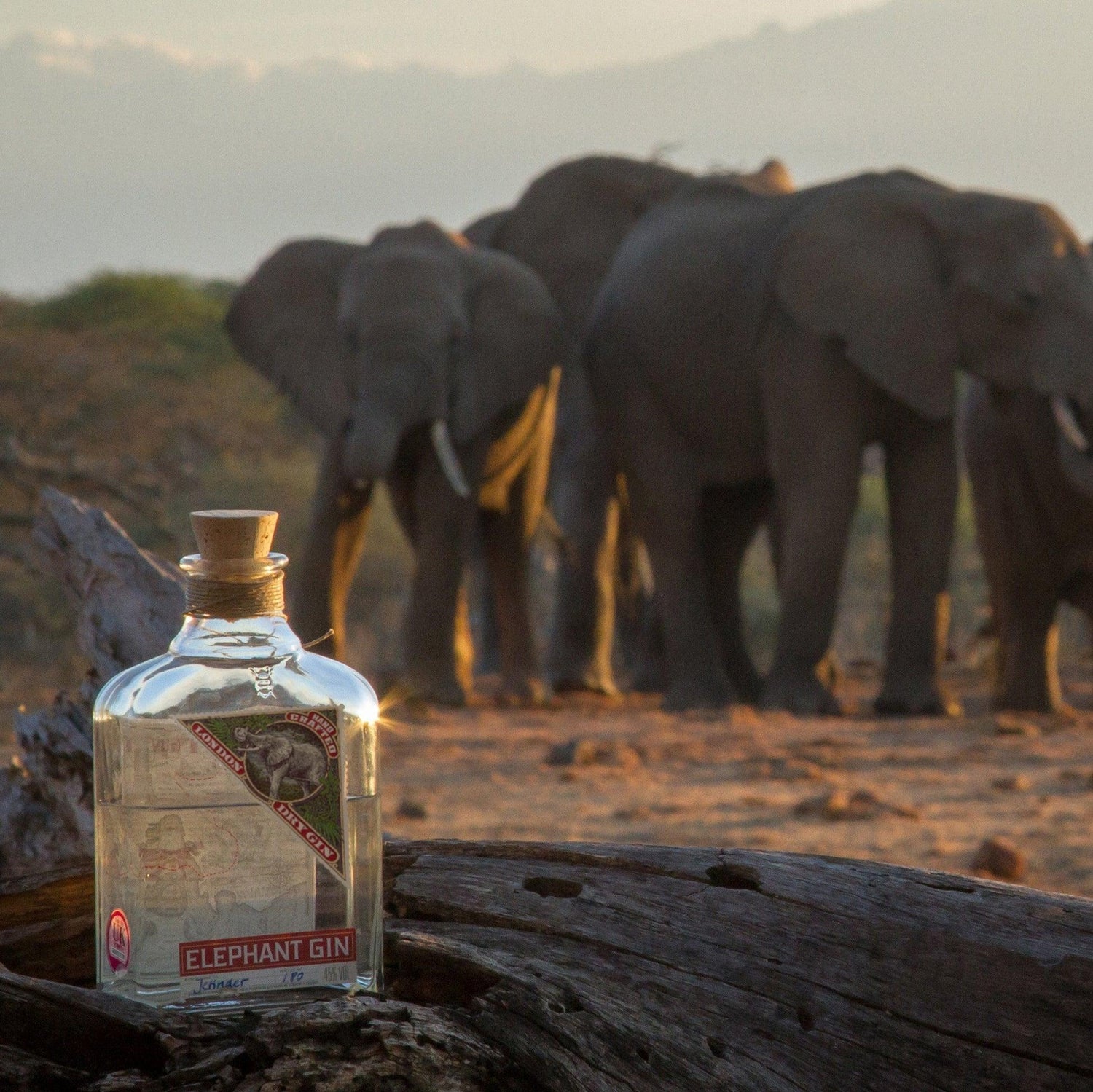 Elephant London dry Gin 50 cl - squisitoo