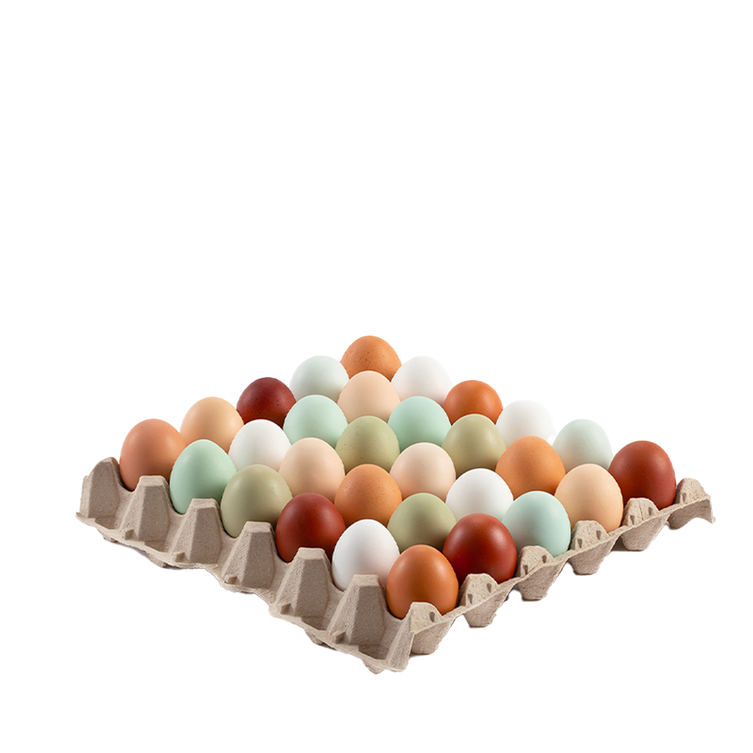 The Garda Egg 60 Uova di varietà mista pregiata BIO - squisitoo