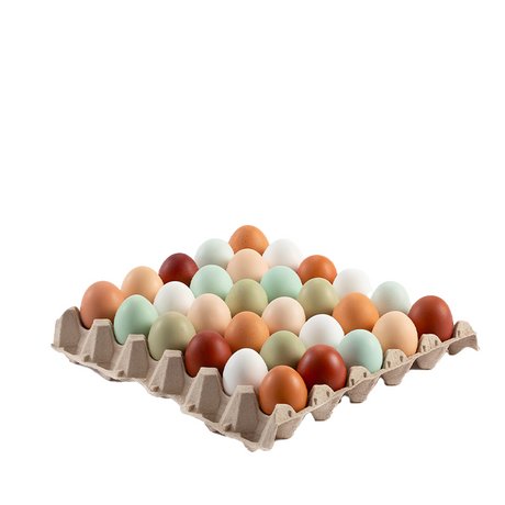 The Garda Egg 60 Uova di varietà mista pregiata BIO