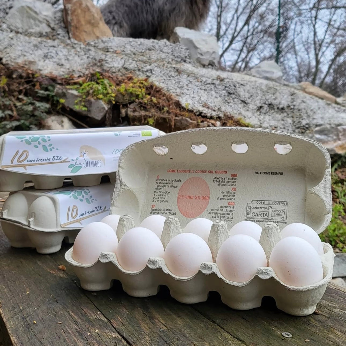 Le Selvagge 10 Uova  bianche BIO in box di polpa di legno biodegradabile