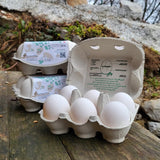 Le Selvagge 6 Uova  bianche BIO in box di polpa di legno biodegradabile