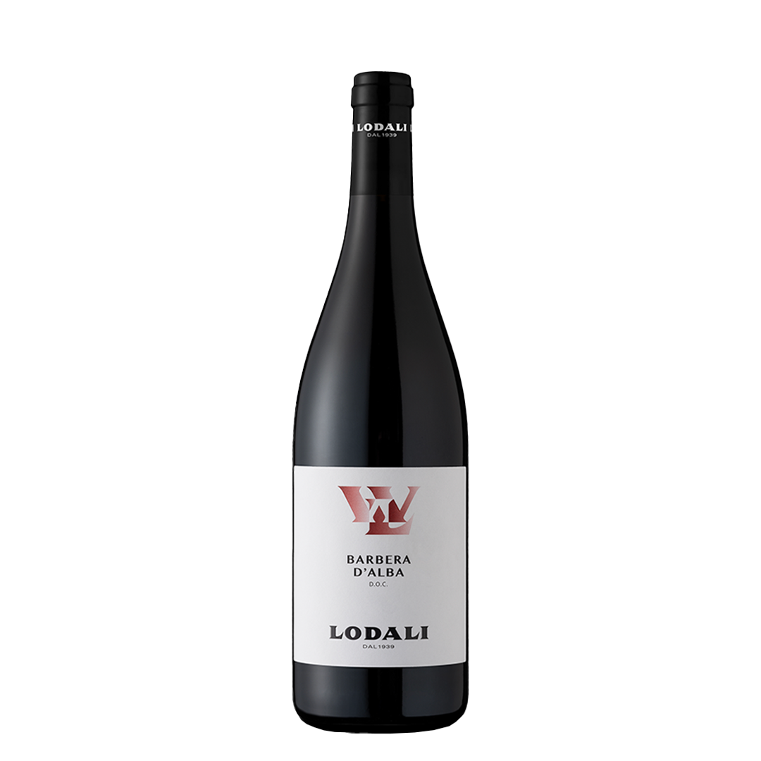 Lodali Barbera d’Alba DOC 2023 - squisitoo