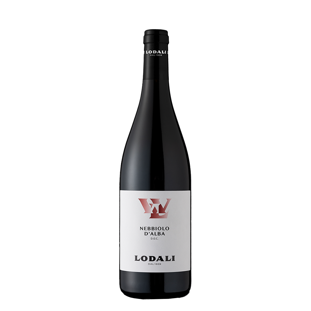 Lodali Nebbiolo d’Alba DOC 2023 - squisitoo