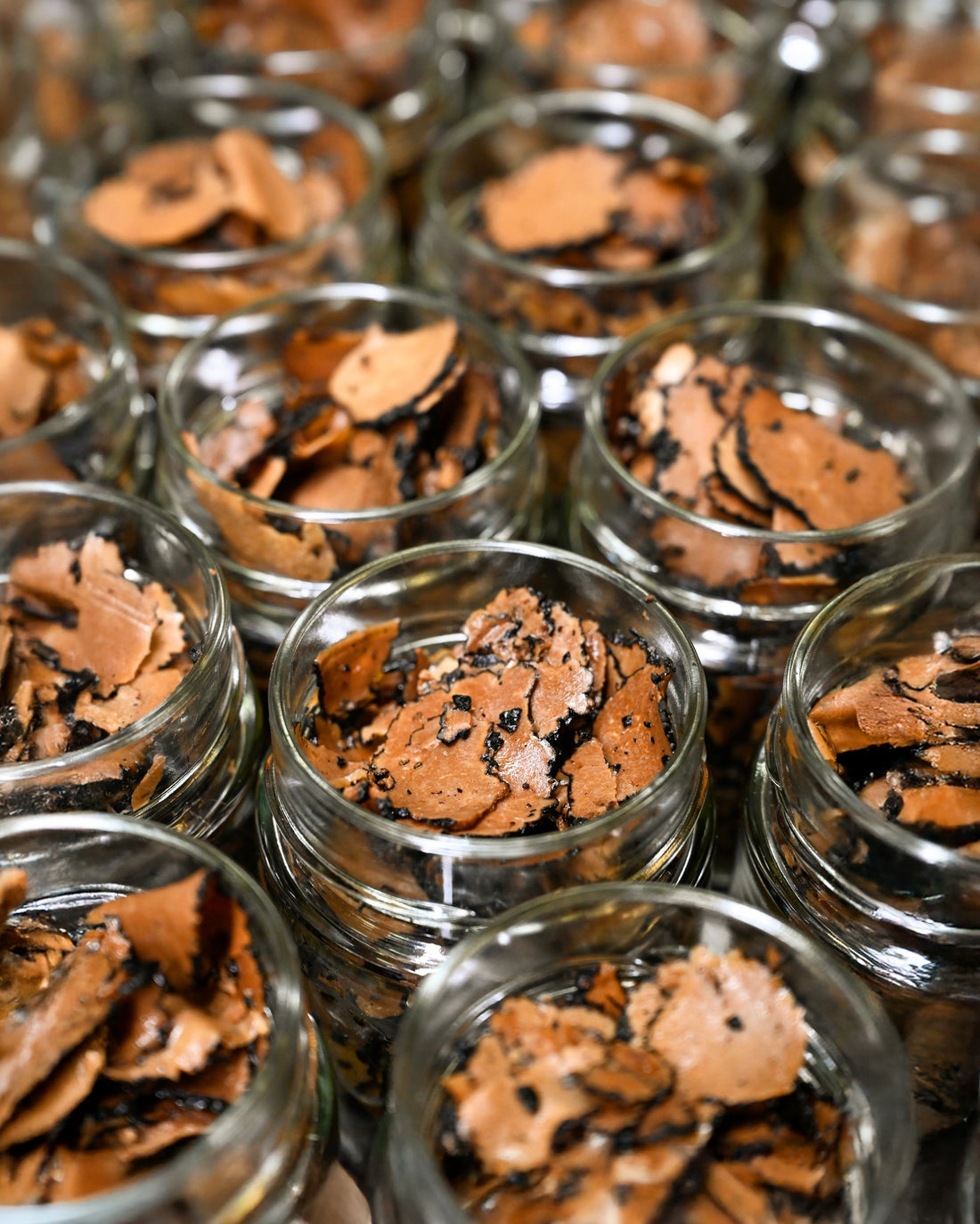 Tartufi la Spora Carpaccio di tartufo estivo 80 g