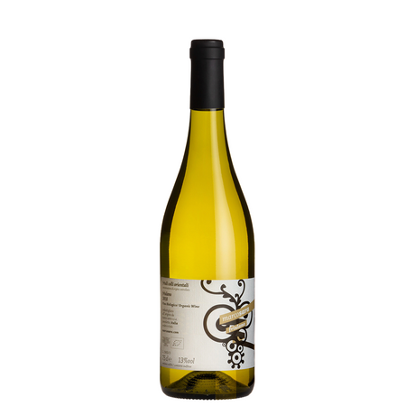 Marco Sara Friulano Friuli Colli Orientali DOC 2023